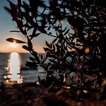 Mobile Whit Sea View Lavojesa Drage