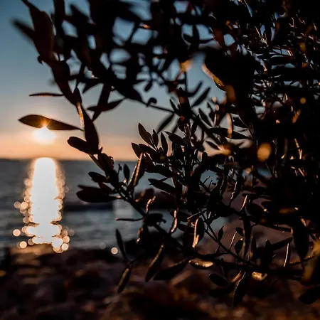 Mobile Whit Sea View Lavojesa Drage